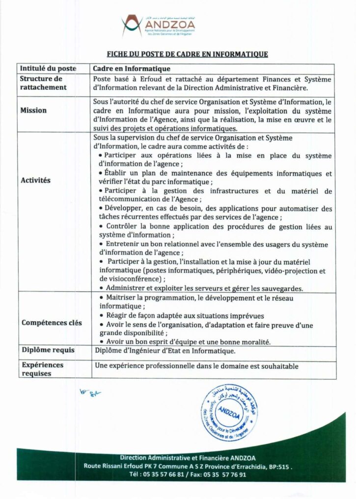 التطوير المعلوماتي